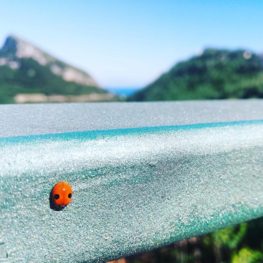 Vietri La Roccia Incantata Amalfi Coast מראה חיצוני תמונה