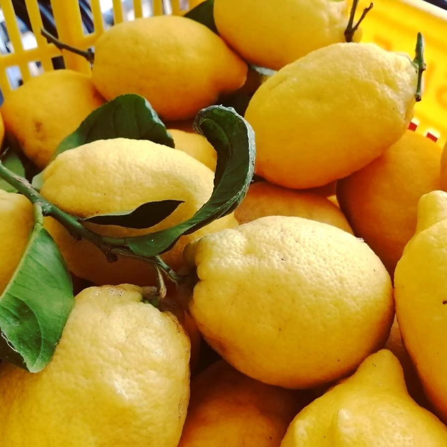 Vietri La Roccia Incantata Amalfi Coast מראה חיצוני תמונה