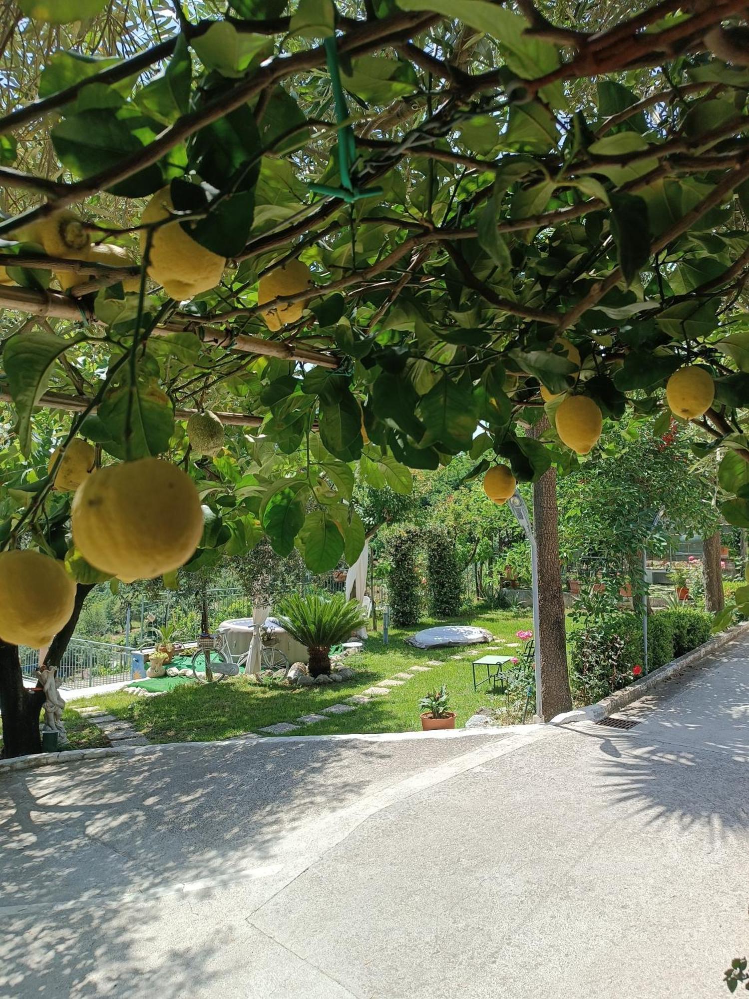 Vietri La Roccia Incantata Amalfi Coast מראה חיצוני תמונה